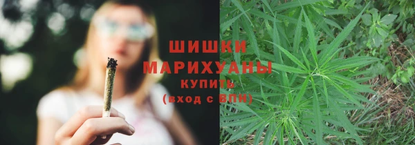 дмт Тутаев