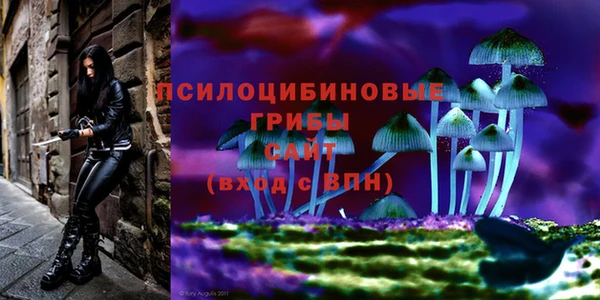 ECSTASY Балабаново