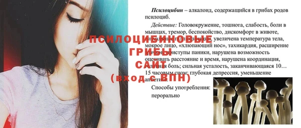спиды Балахна