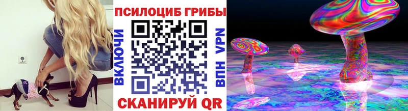 кракен онион что такое наркотик Нестеров Галлюциногенные грибы Magic Shrooms